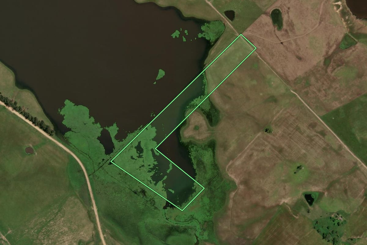 Imagem de satélite do imóvel rural em Dom Pedrito (RS), com o contorno declarado no CAR desenhado por cima.