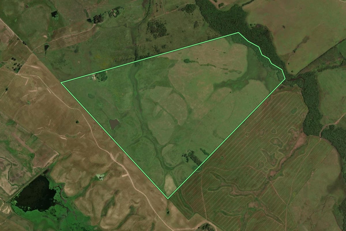 Imagem de satélite do imóvel rural em Dom Pedrito (RS), com o contorno declarado no CAR desenhado por cima.