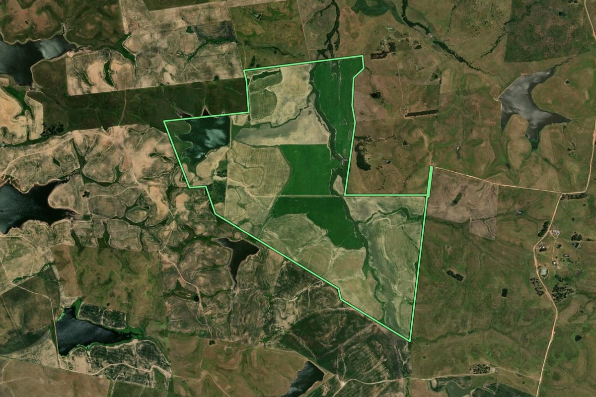 Imagem de satélite do imóvel rural em Dom Pedrito (RS), com o contorno declarado no CAR desenhado por cima.