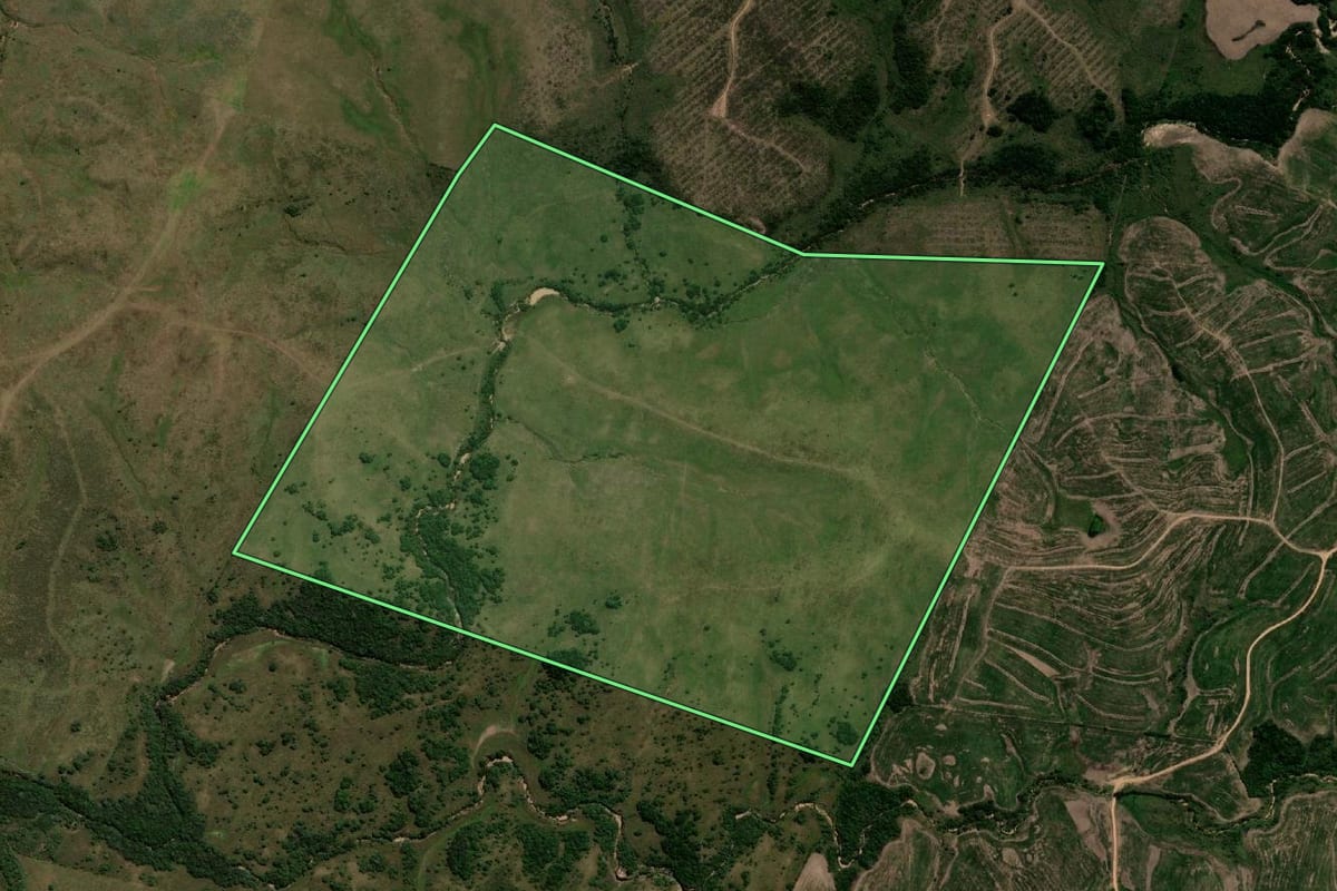 Imagem de satélite do imóvel rural em Dom Pedrito (RS), com o contorno declarado no CAR desenhado por cima.