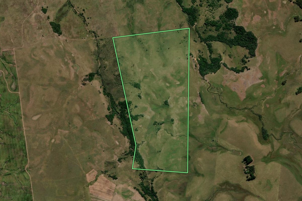 Imagem de satélite do imóvel rural em Dom Pedrito (RS), com o contorno declarado no CAR desenhado por cima.