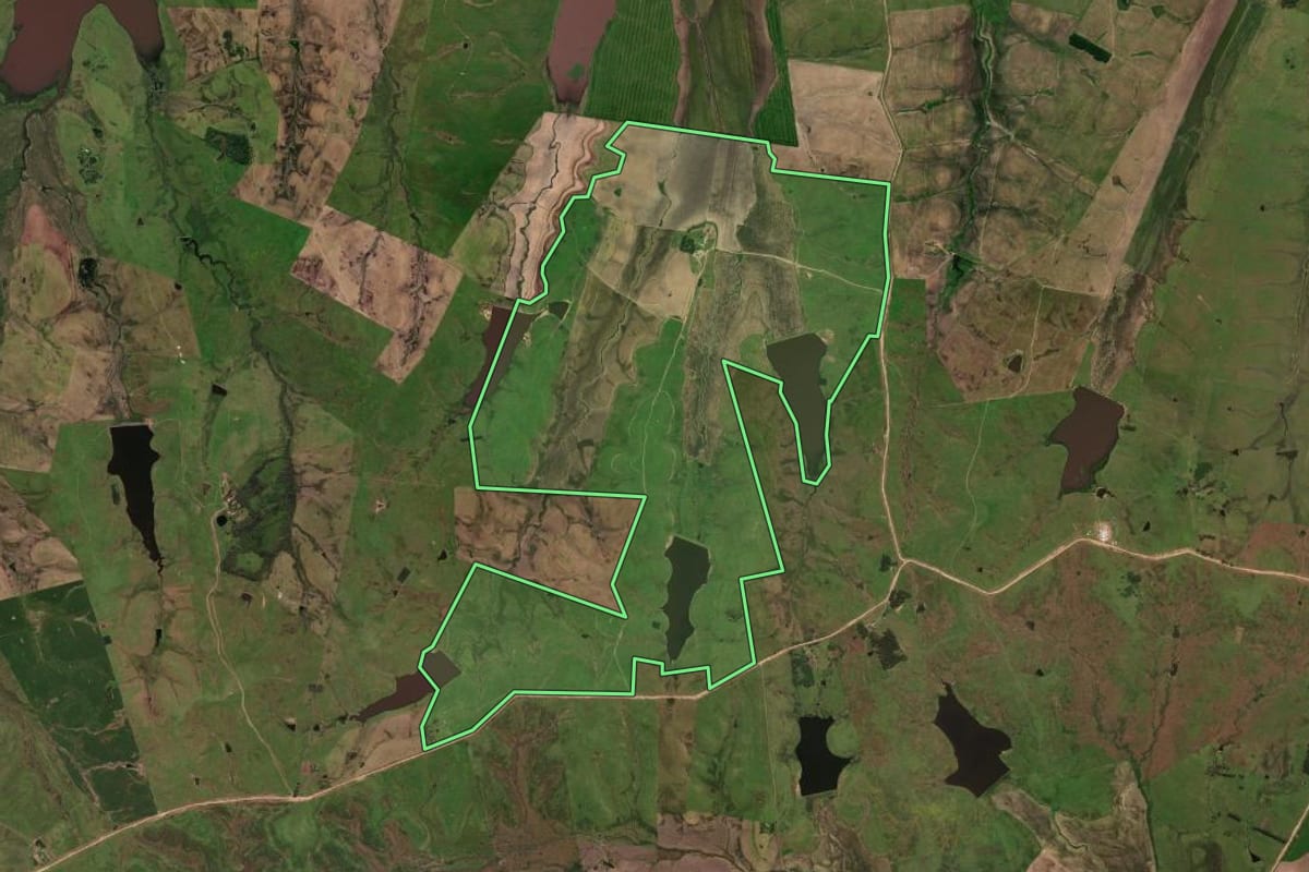 Imagem de satélite do imóvel rural em Dom Pedrito (RS), com o contorno declarado no CAR desenhado por cima.