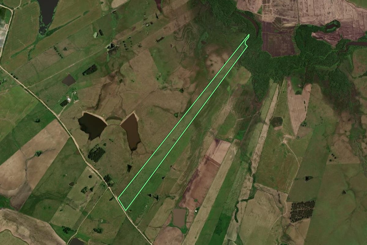 Imagem de satélite do imóvel rural em Dom Pedrito (RS), com o contorno declarado no CAR desenhado por cima.