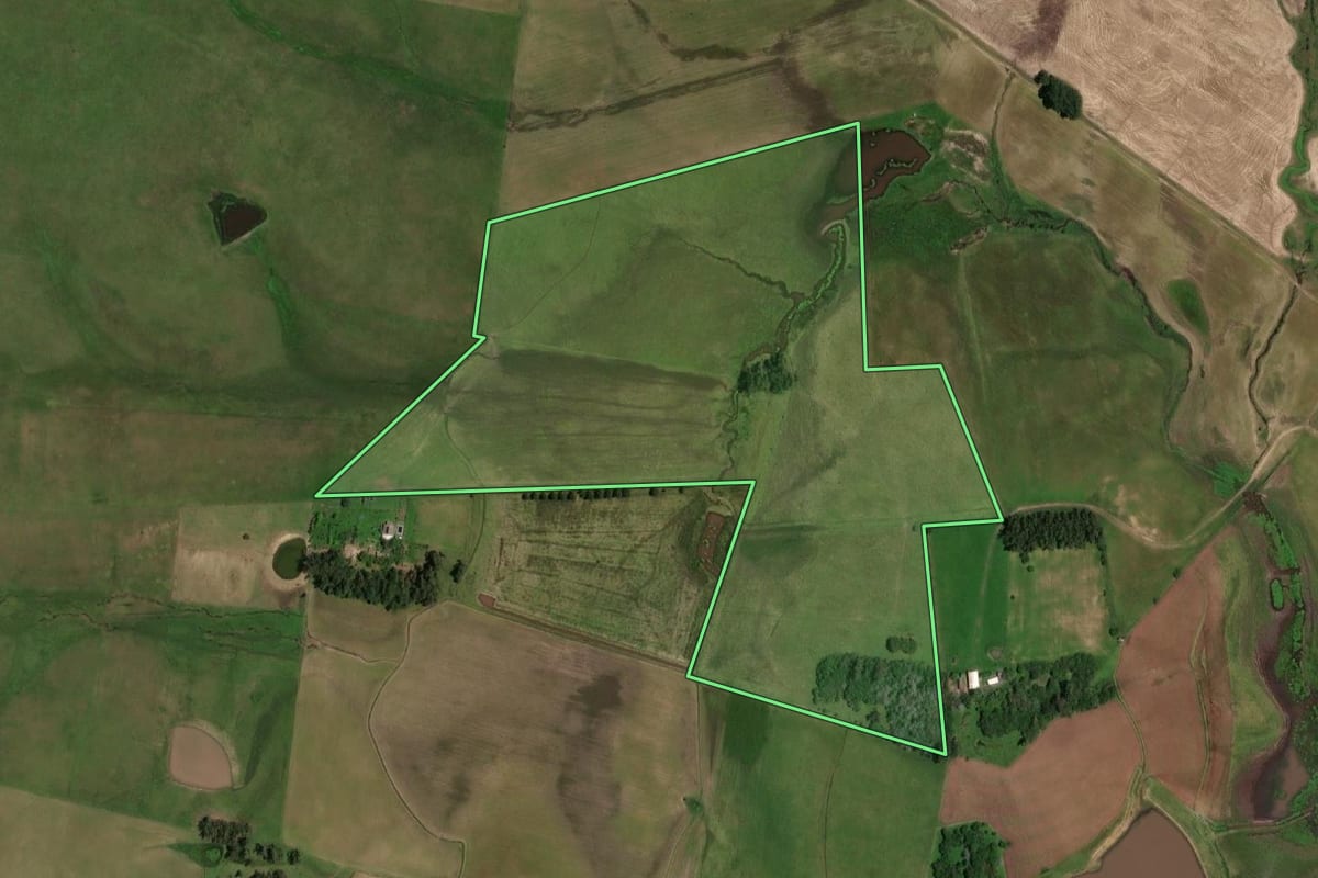 Imagem de satélite do imóvel rural em Dom Pedrito (RS), com o contorno declarado no CAR desenhado por cima.