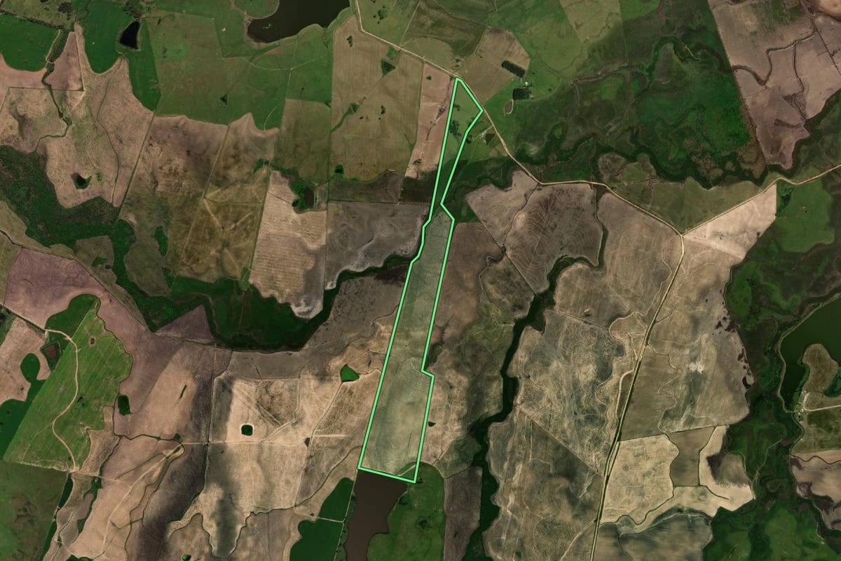 Imagem de satélite do imóvel rural em Dom Pedrito (RS), com o contorno declarado no CAR desenhado por cima.