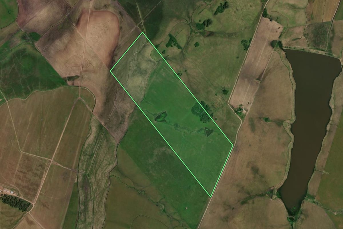 Imagem de satélite do imóvel rural em Dom Pedrito (RS), com o contorno declarado no CAR desenhado por cima.