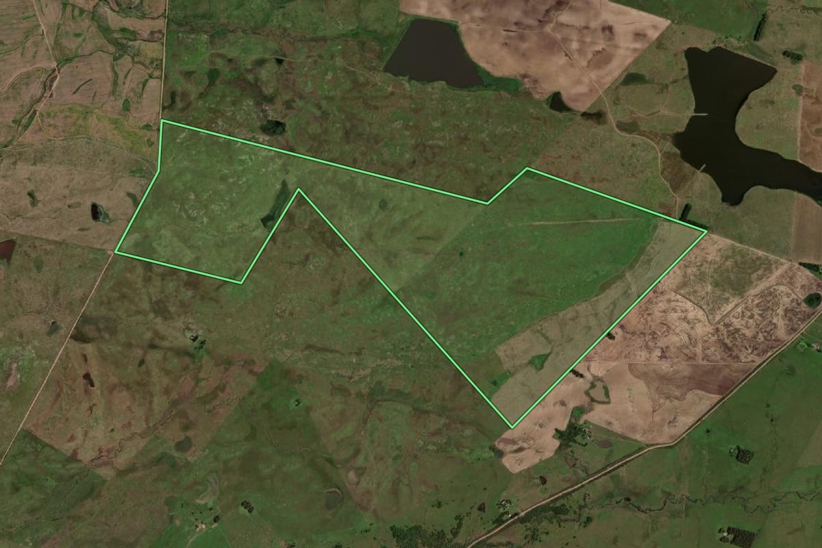Imagem de satélite do imóvel rural em Dom Pedrito (RS), com o contorno declarado no CAR desenhado por cima.