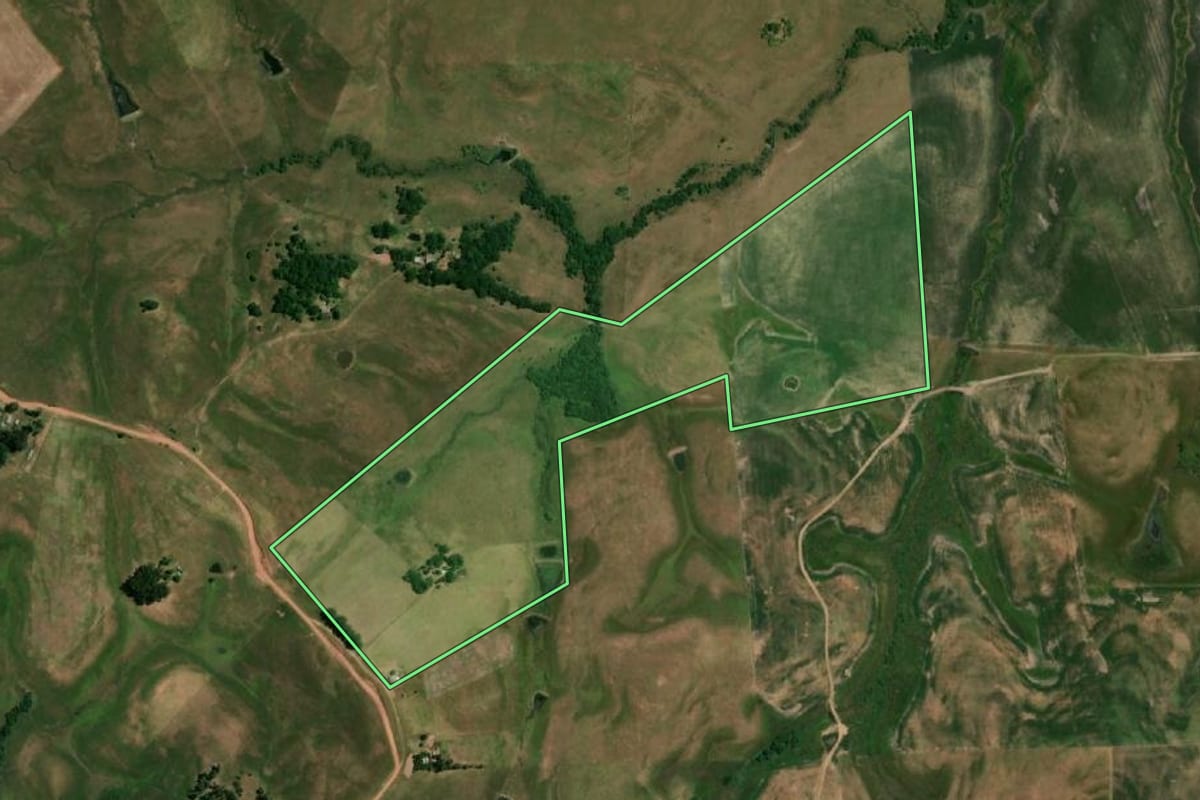 Imagem de satélite do imóvel rural em Dom Pedrito (RS), com o contorno declarado no CAR desenhado por cima.