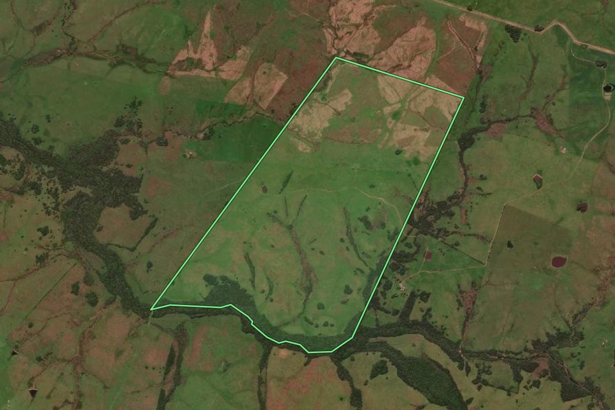 Imagem de satélite do imóvel rural em Dom Pedrito (RS), com o contorno declarado no CAR desenhado por cima.