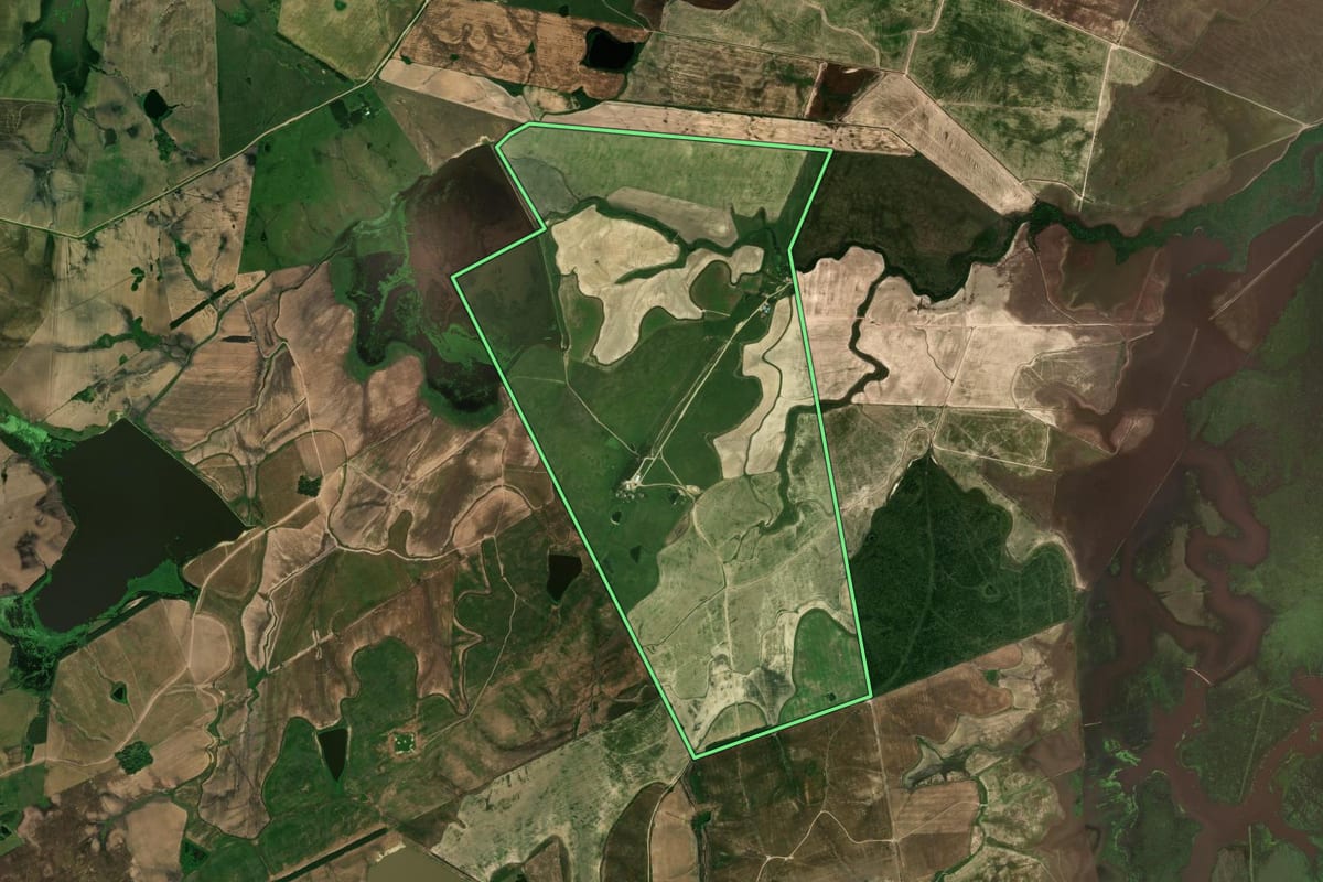 Imagem de satélite do imóvel rural em Dom Pedrito (RS), com o contorno declarado no CAR desenhado por cima.