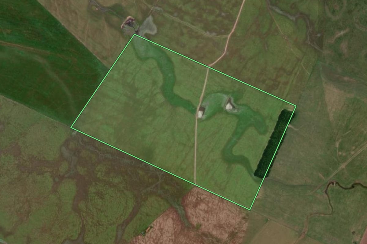 Imagem de satélite do imóvel rural em Dom Pedrito (RS), com o contorno declarado no CAR desenhado por cima.