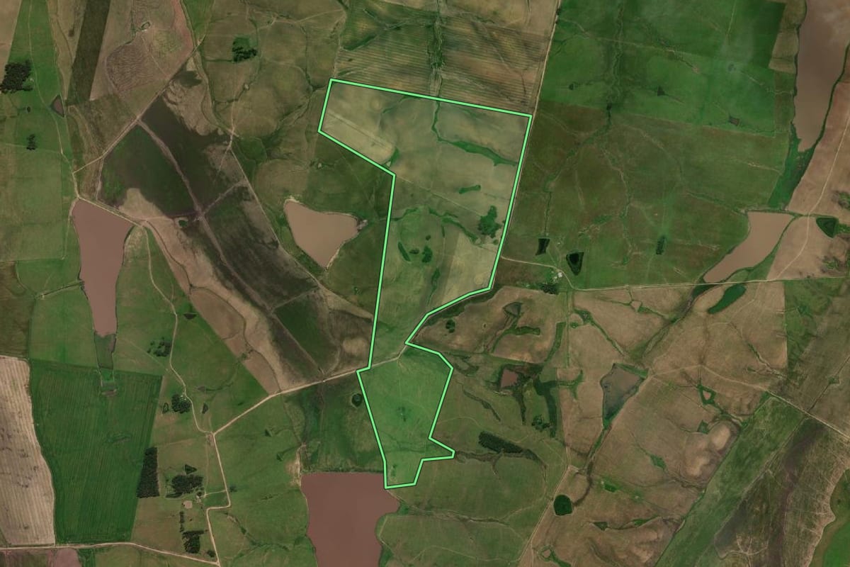 Imagem de satélite do imóvel rural em Dom Pedrito (RS), com o contorno declarado no CAR desenhado por cima.
