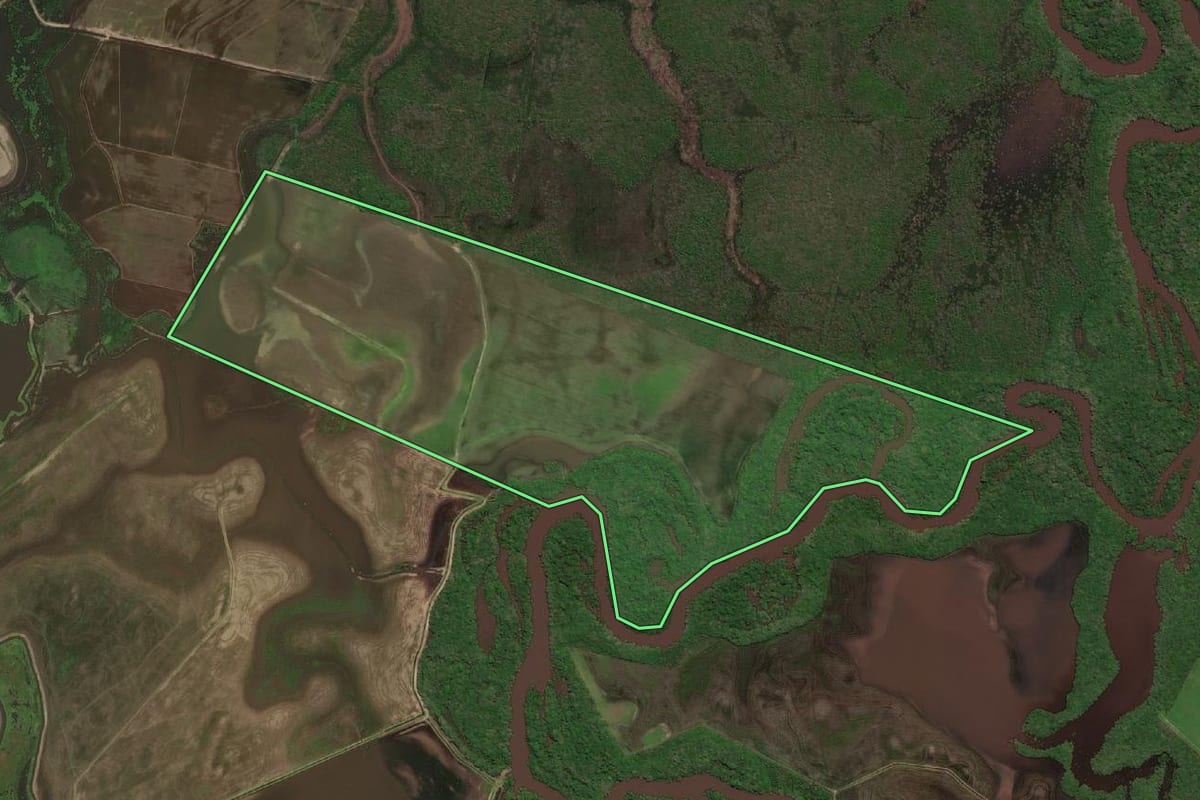 Imagem de satélite do imóvel rural em Dom Pedrito (RS), com o contorno declarado no CAR desenhado por cima.