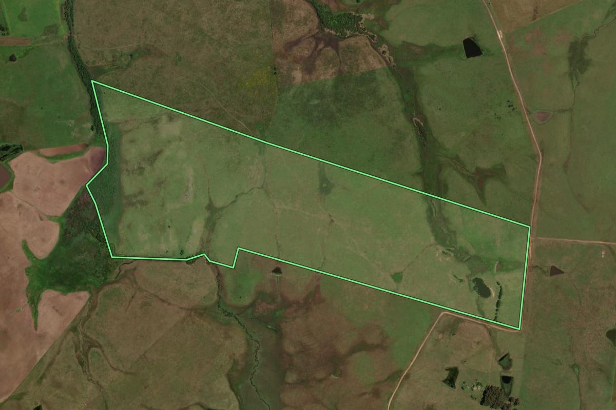 Imagem de satélite do imóvel rural em Dom Pedrito (RS), com o contorno declarado no CAR desenhado por cima.