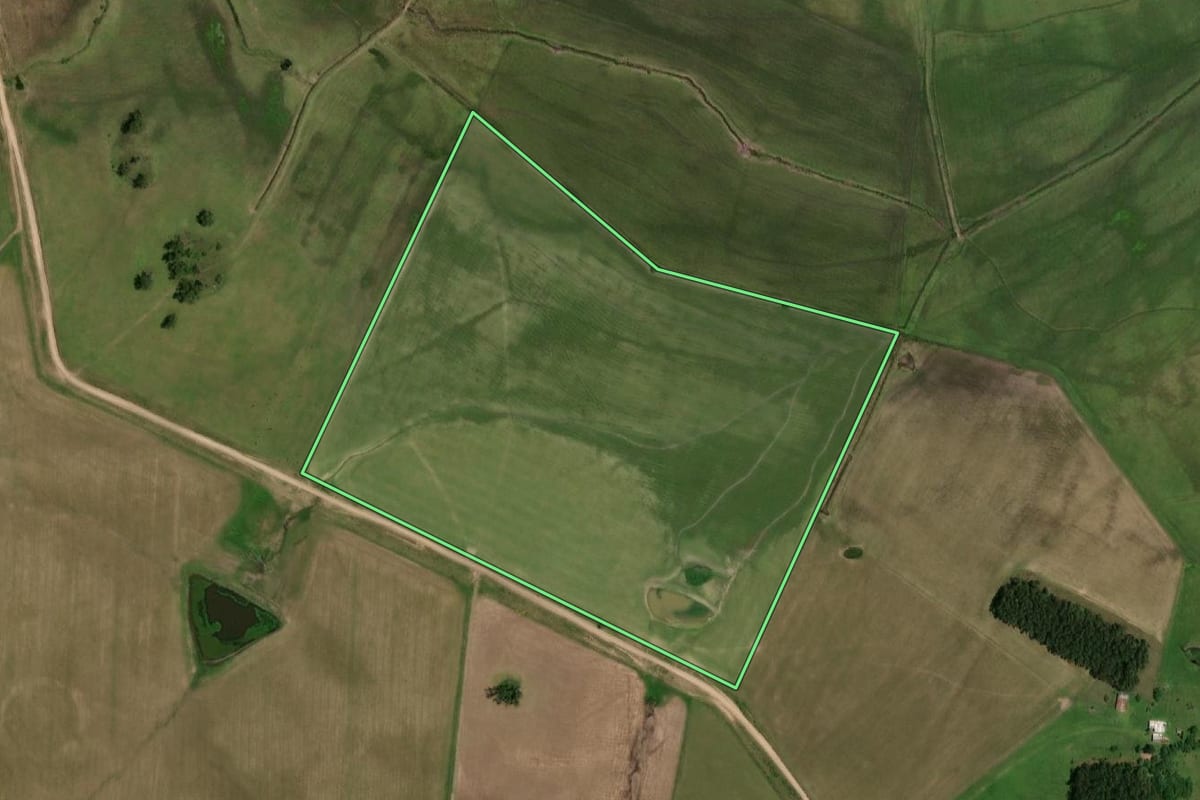 Imagem de satélite do imóvel rural em Dom Pedrito (RS), com o contorno declarado no CAR desenhado por cima.
