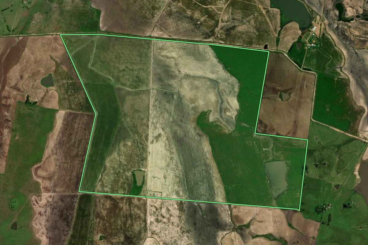 Imagem de satélite do imóvel rural em Dom Pedrito (RS), com o contorno declarado no CAR desenhado por cima.