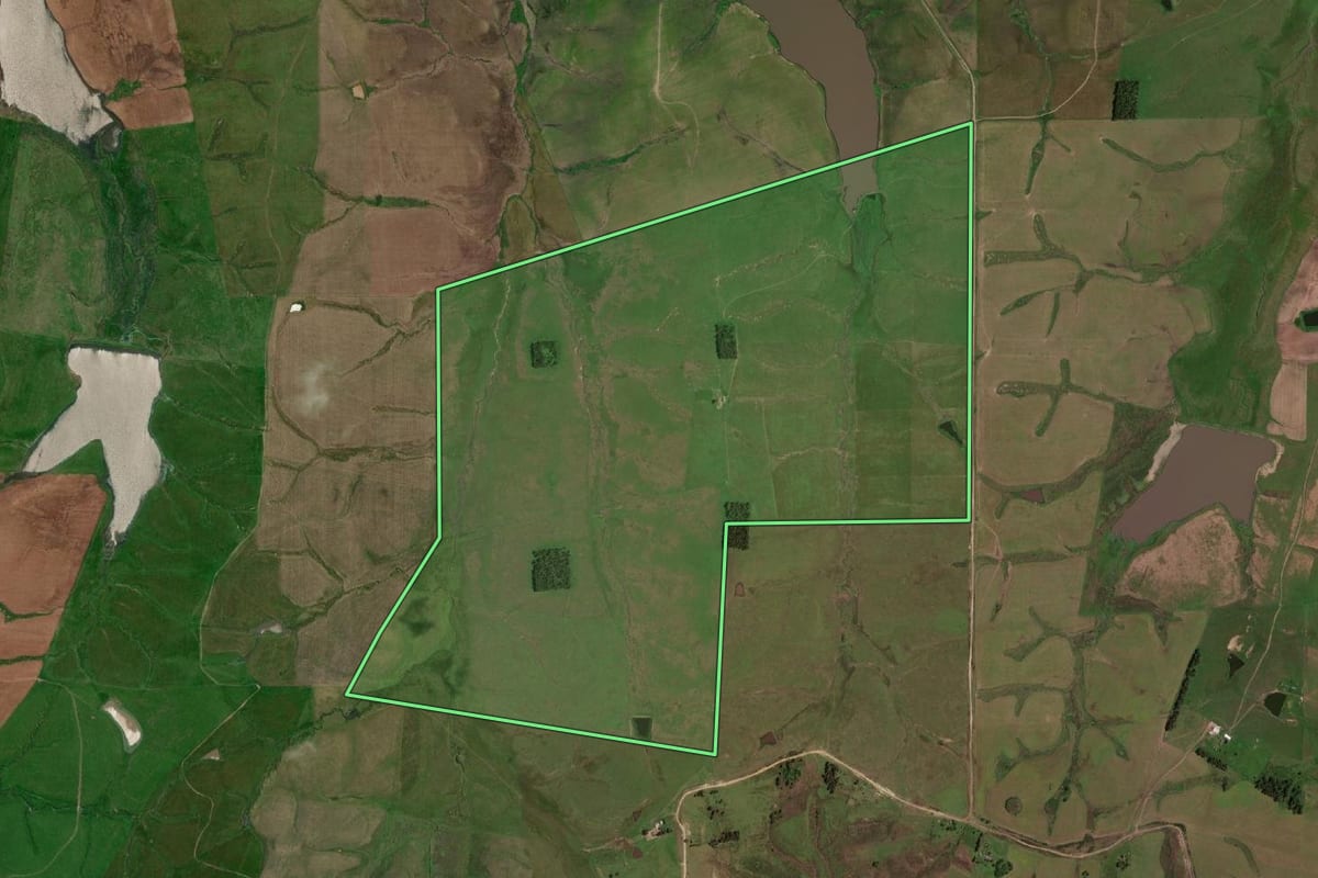 Imagem de satélite do imóvel rural em Dom Pedrito (RS), com o contorno declarado no CAR desenhado por cima.