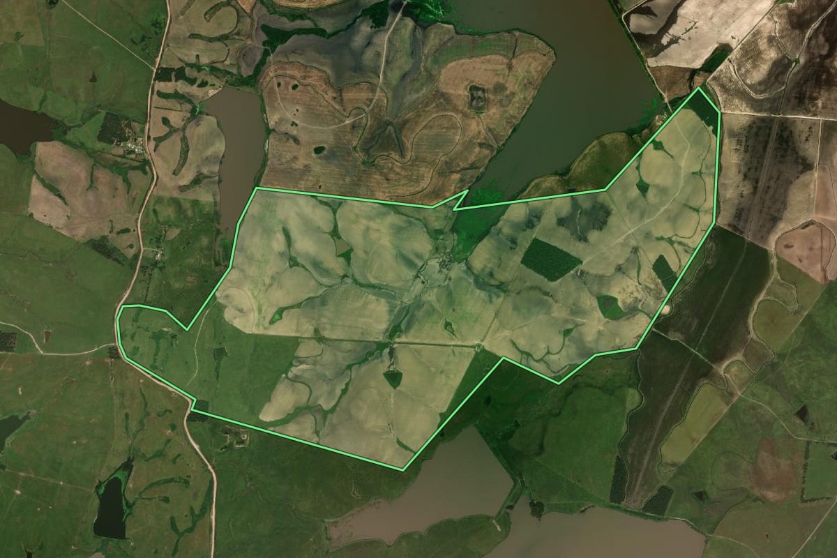 Imagem de satélite do imóvel rural em Dom Pedrito (RS), com o contorno declarado no CAR desenhado por cima.