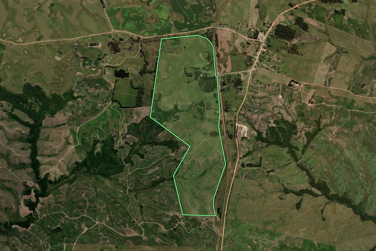 Imagem de satélite do imóvel rural em Dom Pedrito (RS), com o contorno declarado no CAR desenhado por cima.