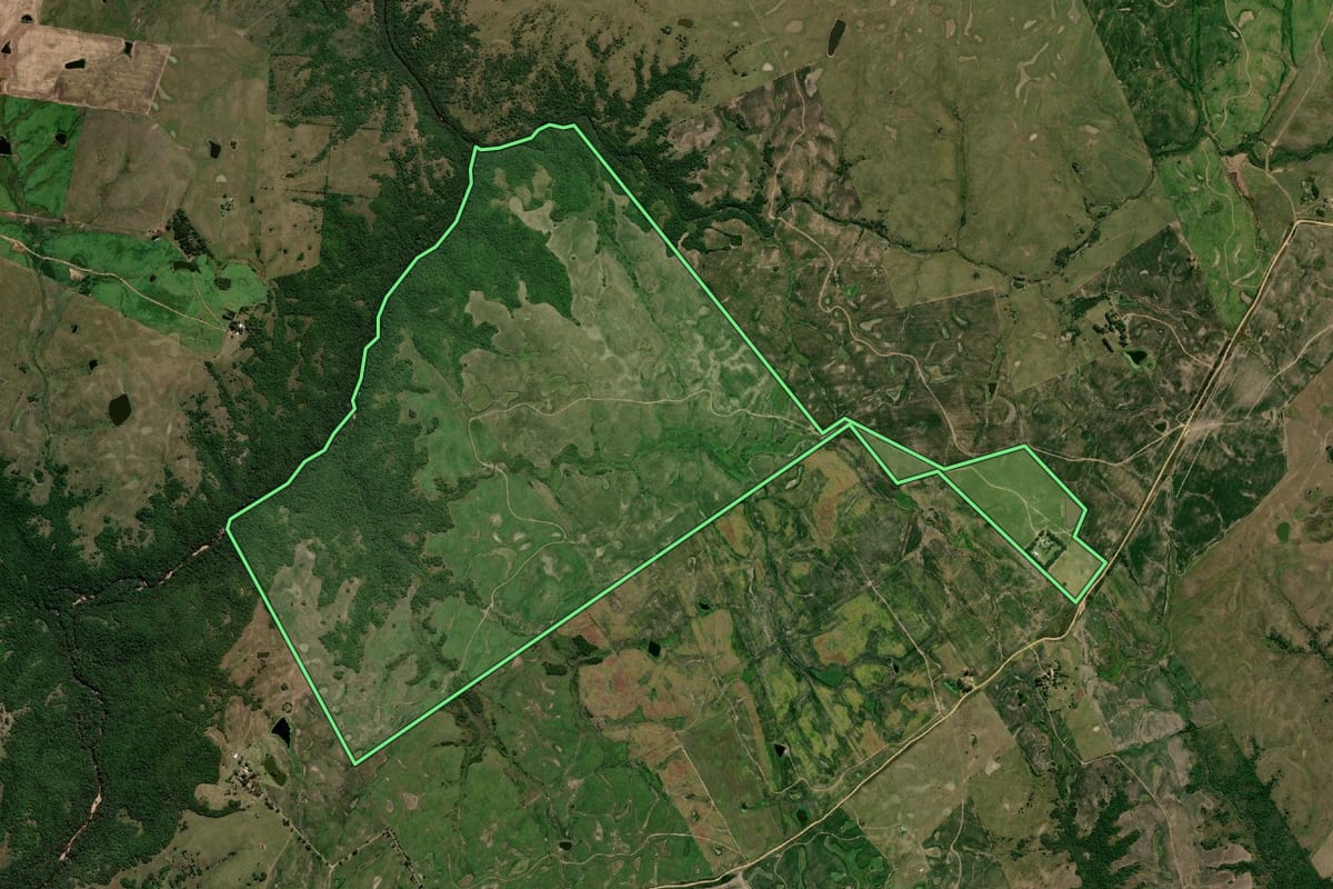 Imagem de satélite do imóvel rural em Dom Pedrito (RS), com o contorno declarado no CAR desenhado por cima.