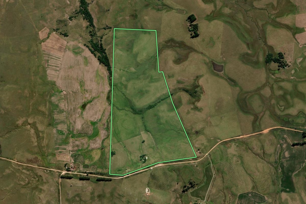 Imagem de satélite do imóvel rural em Dom Pedrito (RS), com o contorno declarado no CAR desenhado por cima.