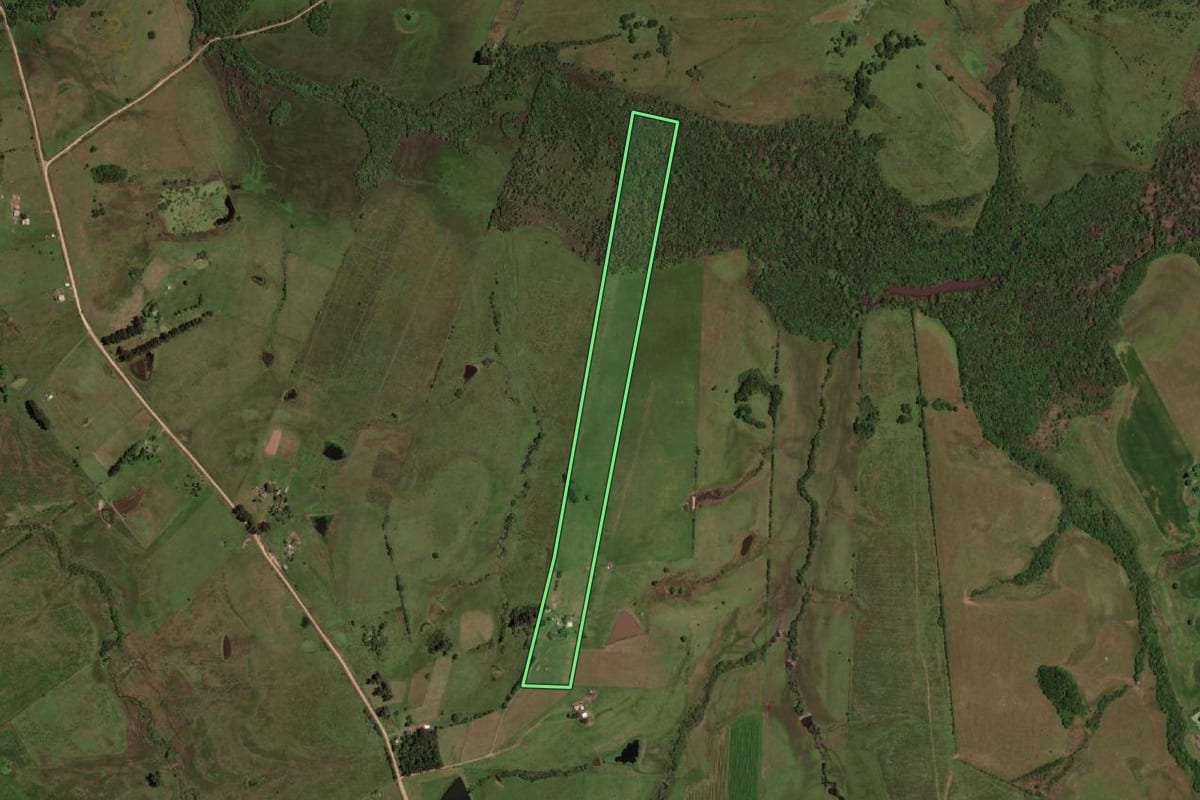 Imagem de satélite do imóvel rural em Dom Pedrito (RS), com o contorno declarado no CAR desenhado por cima.