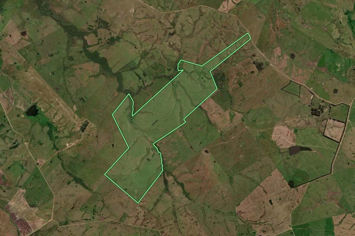 Imagem de satélite do imóvel rural em Dom Pedrito (RS), com o contorno declarado no CAR desenhado por cima.