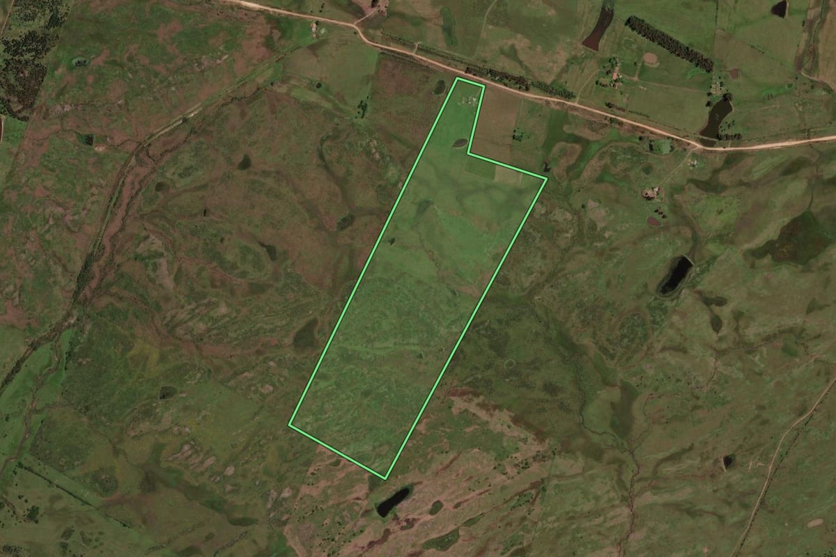 Imagem de satélite do imóvel rural em Dom Pedrito (RS), com o contorno declarado no CAR desenhado por cima.