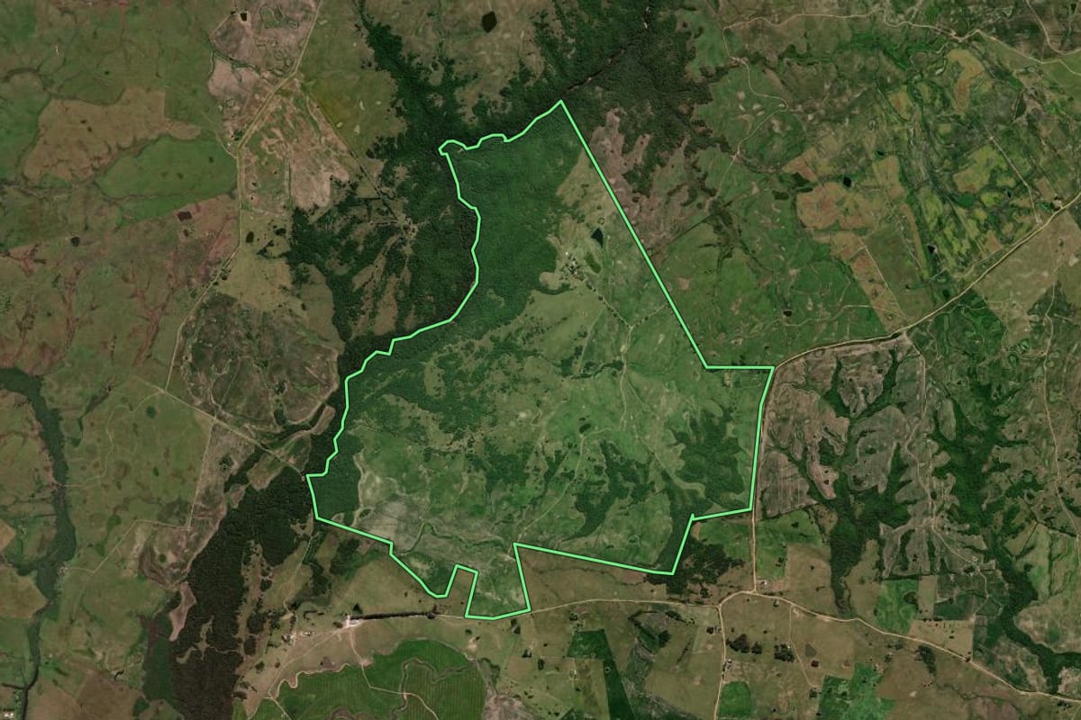 Imagem de satélite do imóvel rural em Dom Pedrito (RS), com o contorno declarado no CAR desenhado por cima.