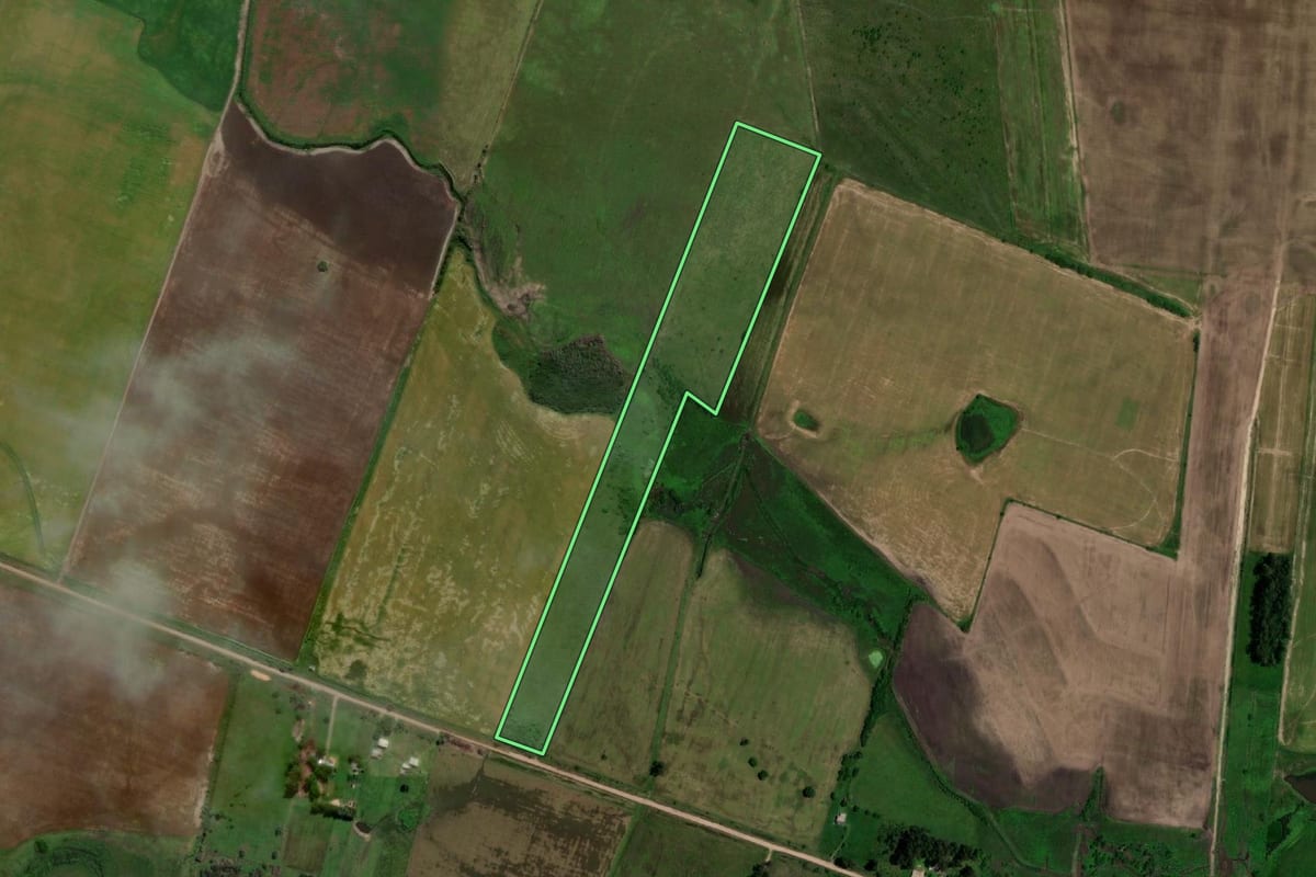 Imagem de satélite do imóvel rural em Dom Pedrito (RS), com o contorno declarado no CAR desenhado por cima.