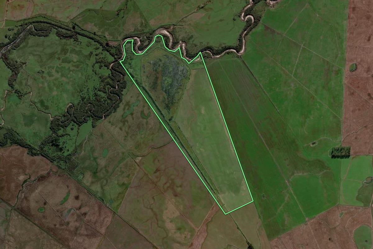 Imagem de satélite do imóvel rural em Dom Pedrito (RS), com o contorno declarado no CAR desenhado por cima.