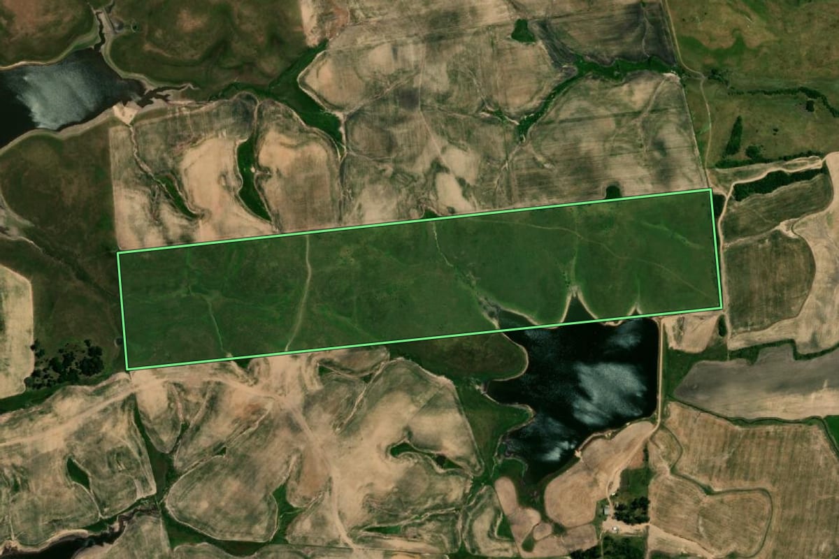 Imagem de satélite do imóvel rural em Dom Pedrito (RS), com o contorno declarado no CAR desenhado por cima.