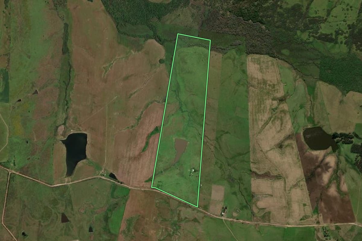 Imagem de satélite do imóvel rural em Dom Pedrito (RS), com o contorno declarado no CAR desenhado por cima.