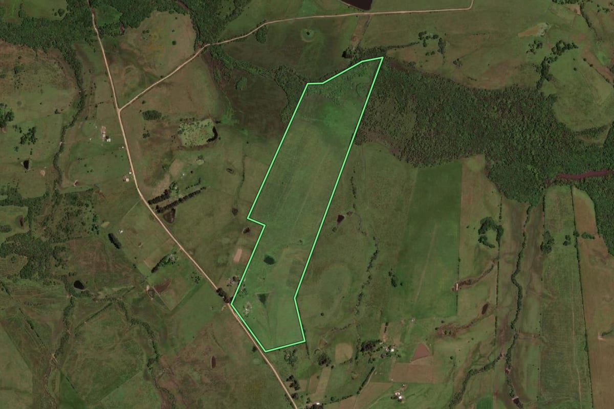 Imagem de satélite do imóvel rural em Dom Pedrito (RS), com o contorno declarado no CAR desenhado por cima.