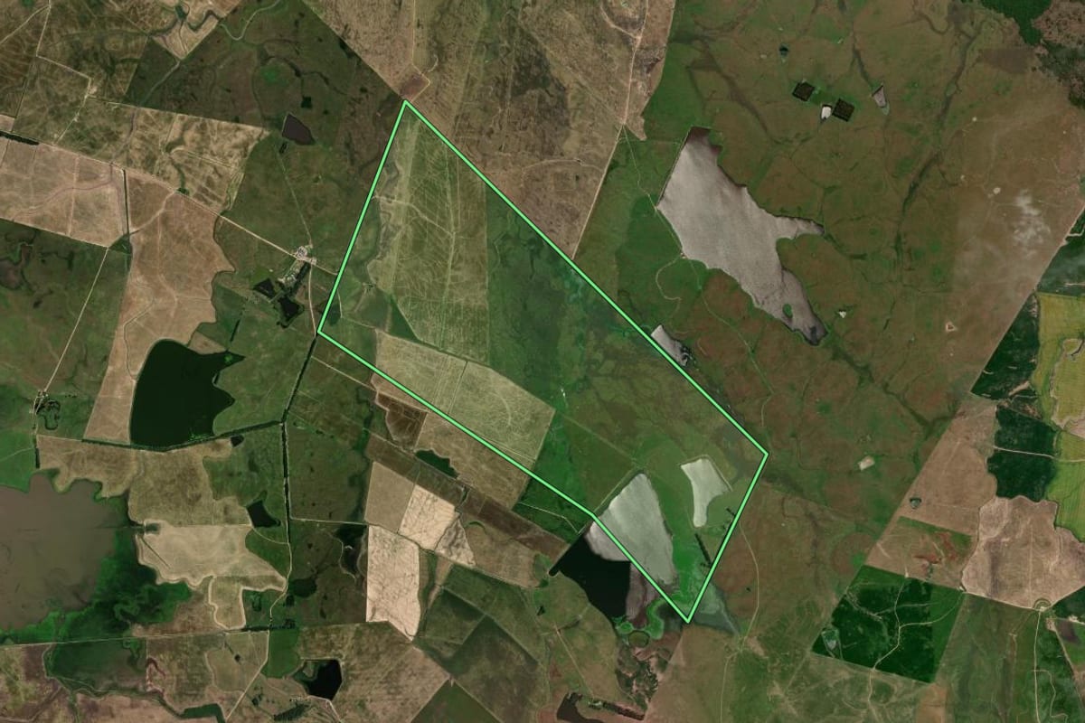Imagem de satélite do imóvel rural em Dom Pedrito (RS), com o contorno declarado no CAR desenhado por cima.