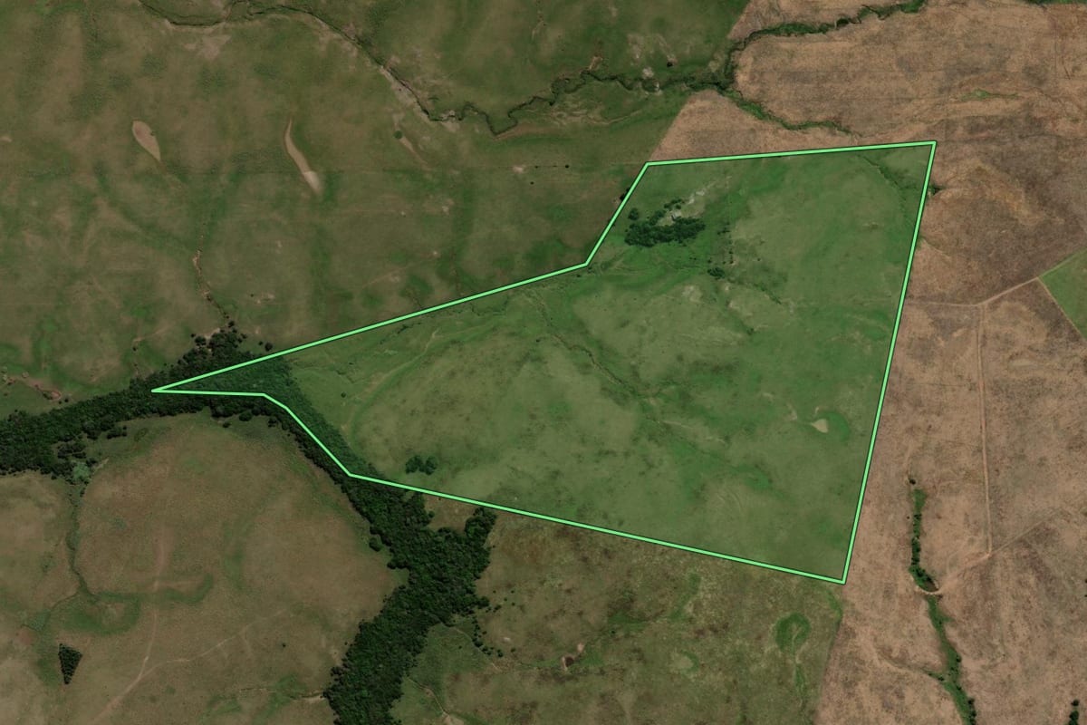 Imagem de satélite do imóvel rural em Dom Pedrito (RS), com o contorno declarado no CAR desenhado por cima.