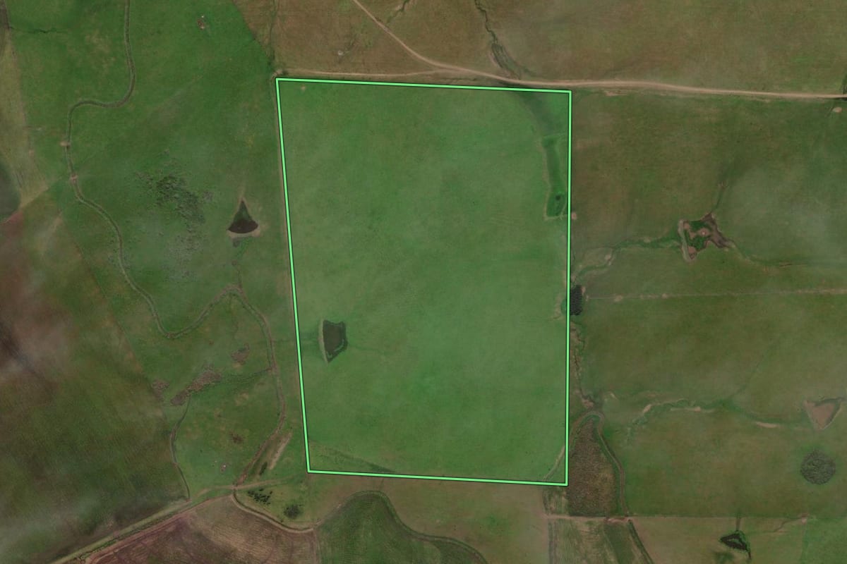 Imagem de satélite do imóvel rural em Dom Pedrito (RS), com o contorno declarado no CAR desenhado por cima.