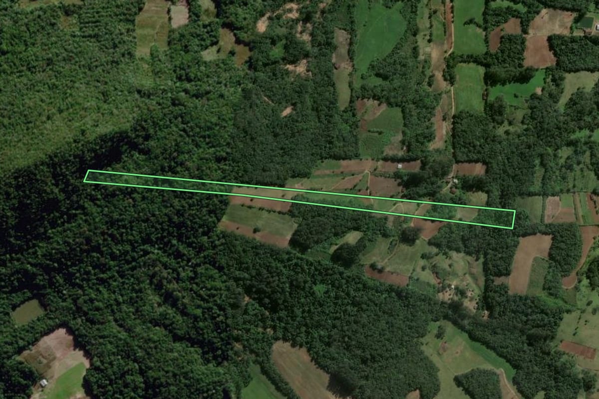 Imagem de satélite do imóvel rural em Dona Francisca (RS), com o contorno declarado no CAR desenhado por cima.