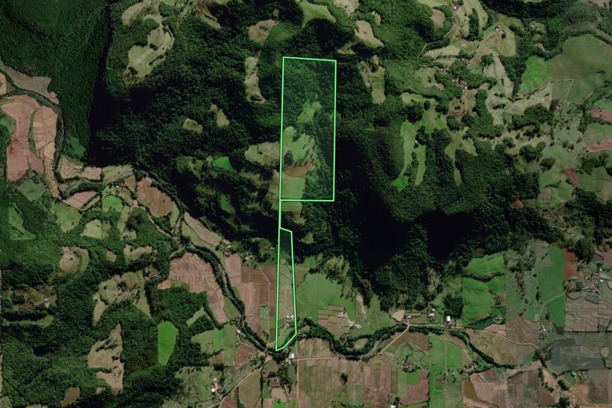Imagem de satélite do imóvel rural em Dona Francisca (RS), com o contorno declarado no CAR desenhado por cima.
