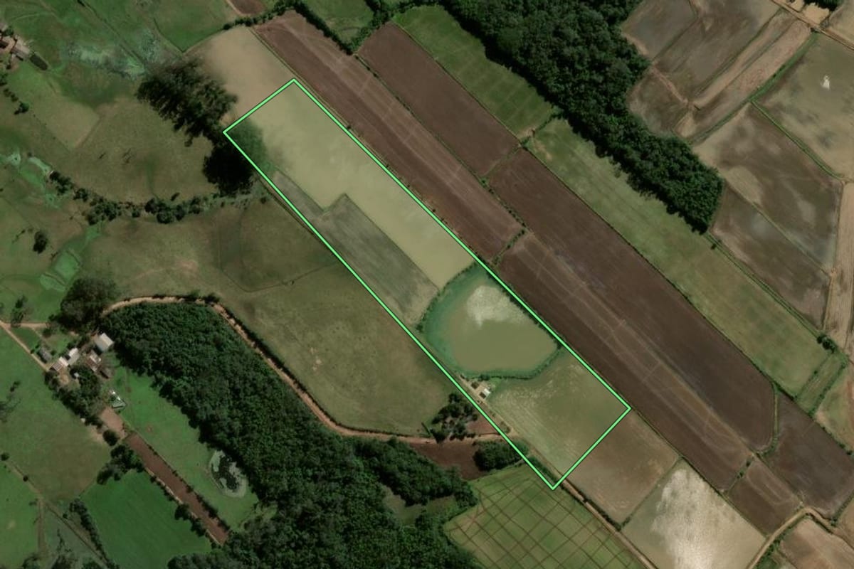 Imagem de satélite do imóvel rural em Dona Francisca (RS), com o contorno declarado no CAR desenhado por cima.