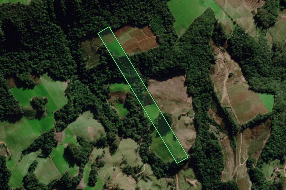 Imagem de satélite do imóvel rural em Dona Francisca (RS), com o contorno declarado no CAR desenhado por cima.