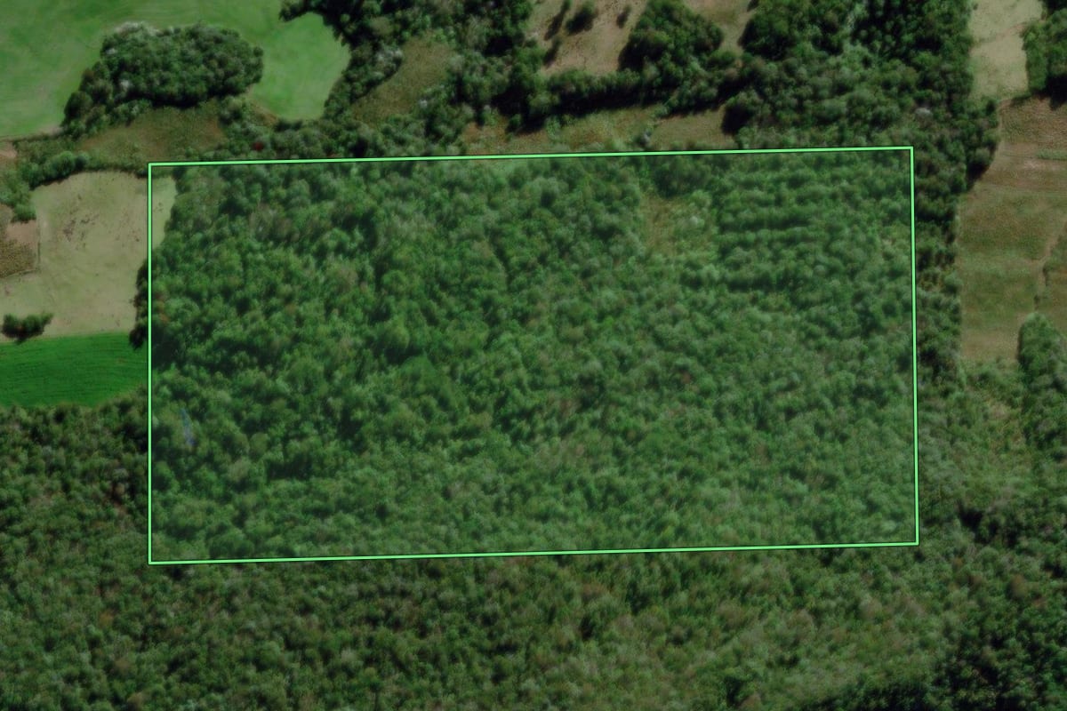 Imagem de satélite do imóvel rural em Dona Francisca (RS), com o contorno declarado no CAR desenhado por cima.