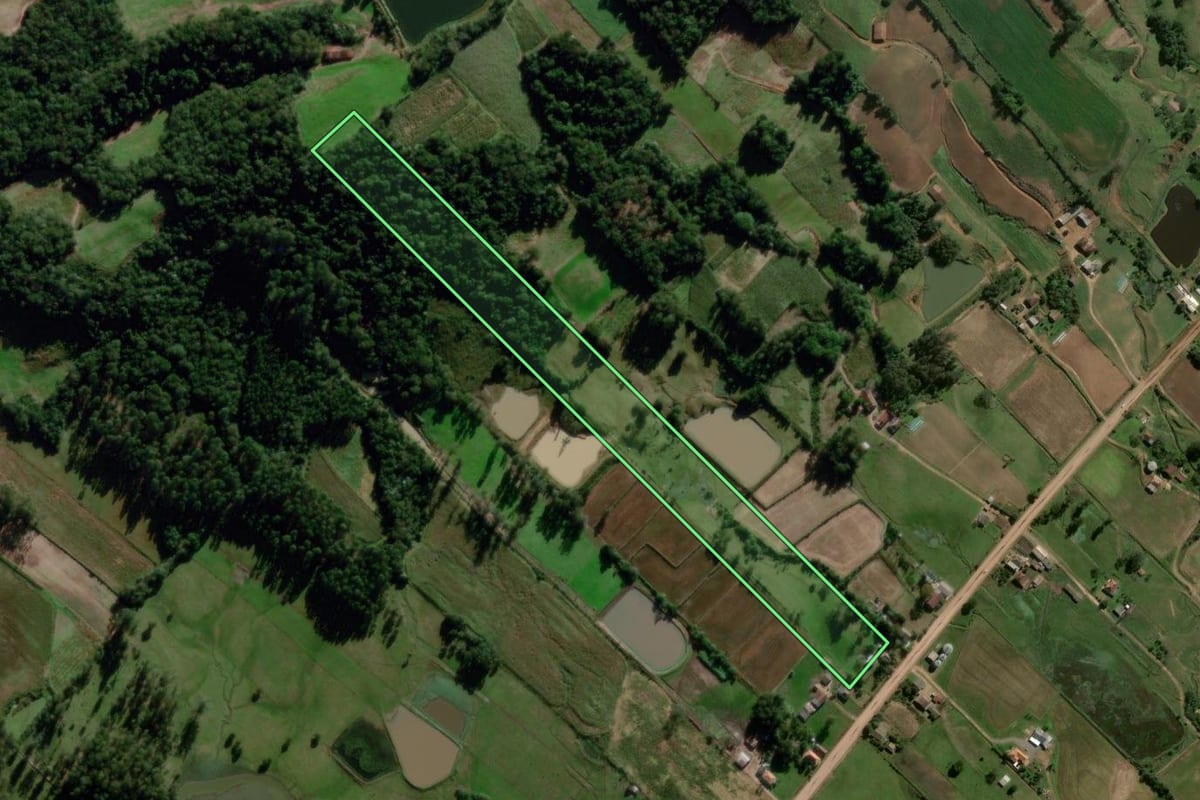 Imagem de satélite do imóvel rural em Dona Francisca (RS), com o contorno declarado no CAR desenhado por cima.