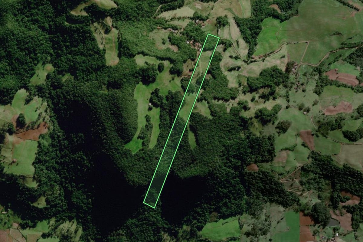 Imagem de satélite do imóvel rural em Dona Francisca (RS), com o contorno declarado no CAR desenhado por cima.