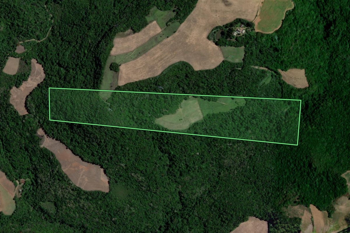 Imagem de satélite do imóvel rural em Dona Francisca (RS), com o contorno declarado no CAR desenhado por cima.