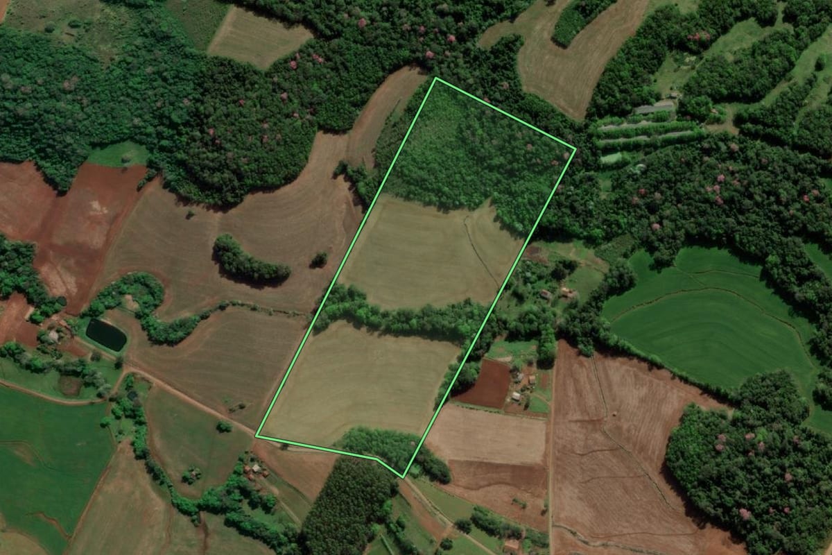 Imagem de satélite do imóvel rural em Doutor Maurício Cardoso (RS), com o contorno declarado no CAR desenhado por cima.