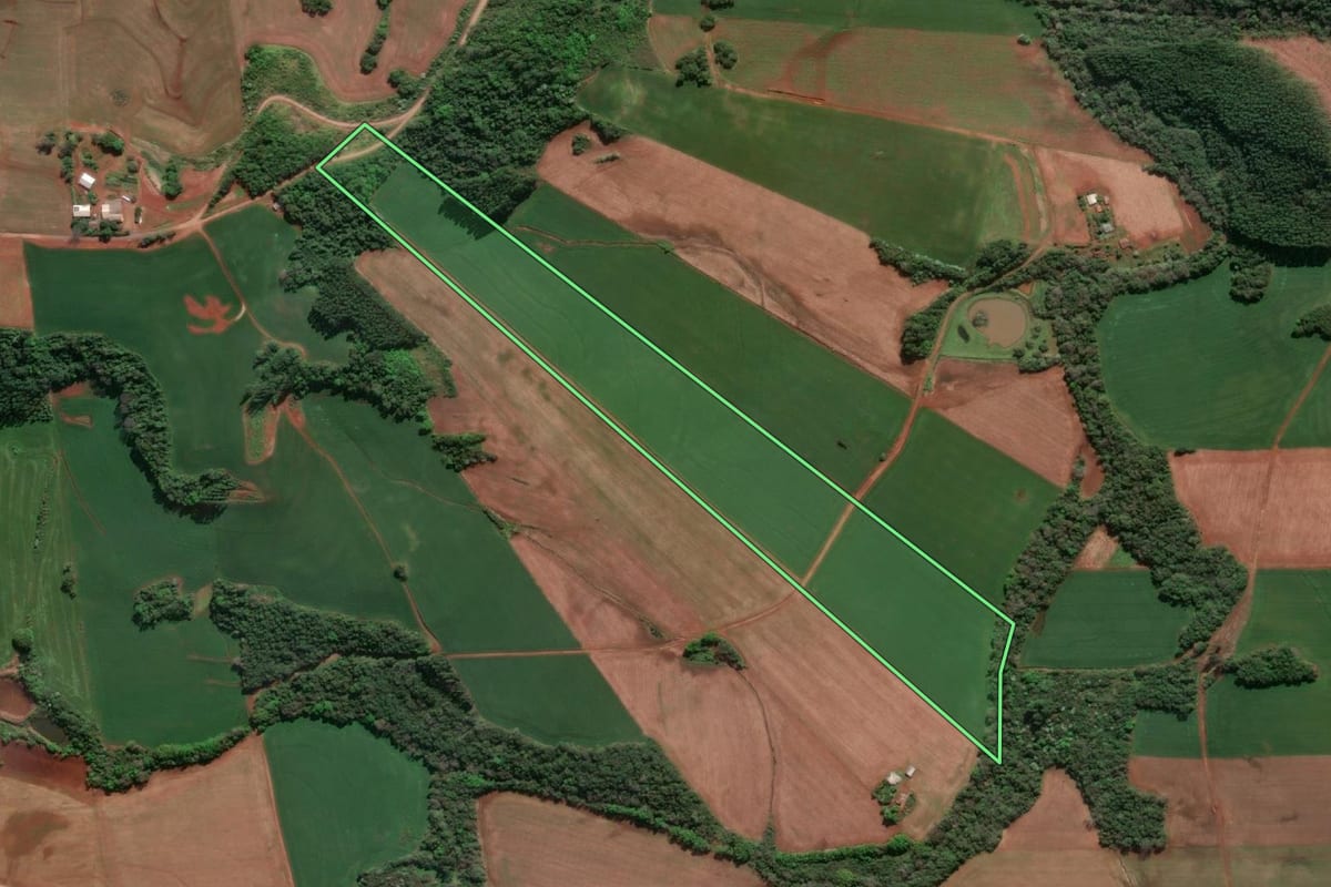 Imagem de satélite do imóvel rural em Doutor Maurício Cardoso (RS), com o contorno declarado no CAR desenhado por cima.