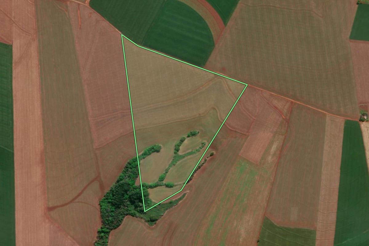 Imagem de satélite do imóvel rural em Doutor Maurício Cardoso (RS), com o contorno declarado no CAR desenhado por cima.