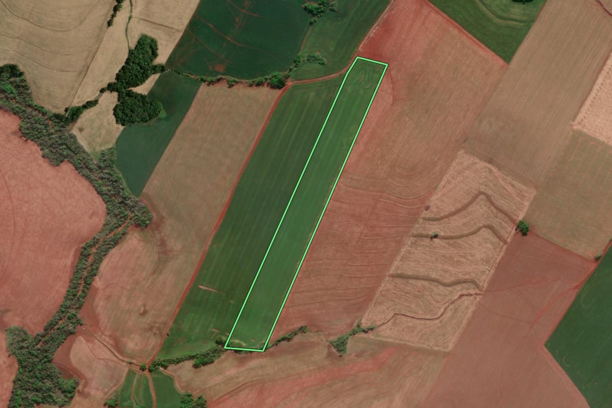 Imagem de satélite do imóvel rural em Doutor Maurício Cardoso (RS), com o contorno declarado no CAR desenhado por cima.