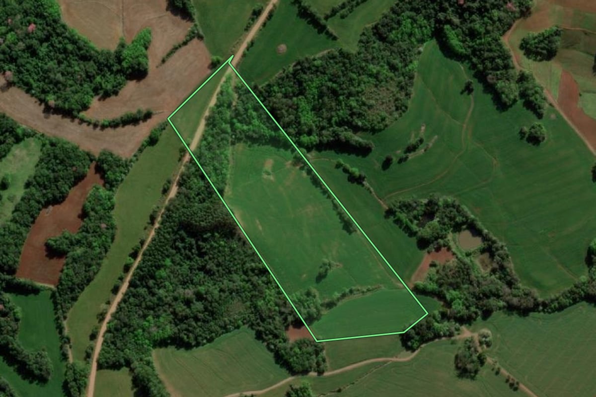 Imagem de satélite do imóvel rural em Doutor Maurício Cardoso (RS), com o contorno declarado no CAR desenhado por cima.